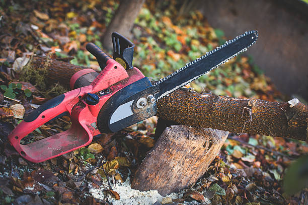 Lawn Maintenance Plans in Jefferson Valley Yorktown, NY
